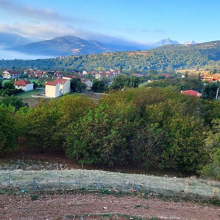Вілла Τα Πέτρινα Στο Σκεπαστό Калаврита Екстер'єр фото