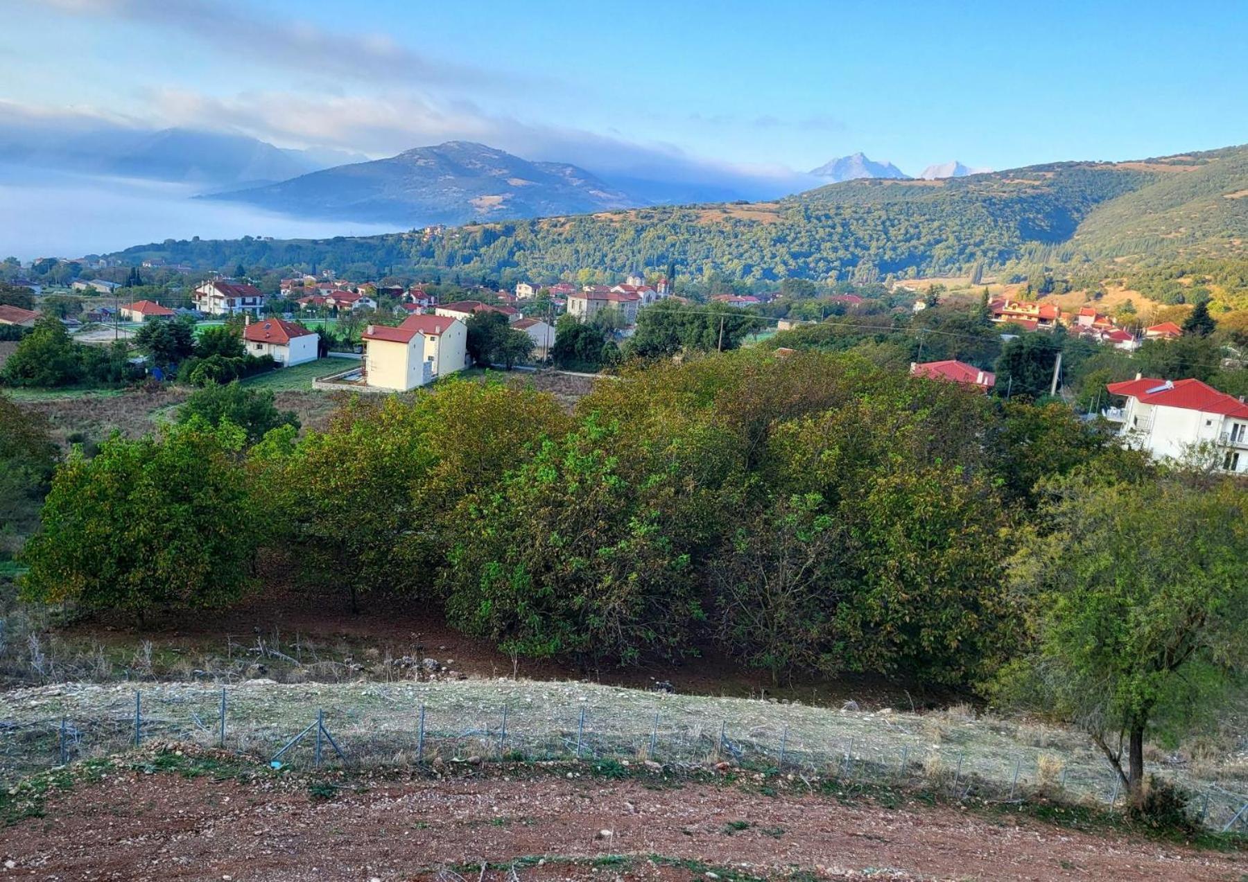 Вілла Τα Πέτρινα Στο Σκεπαστό Калаврита Екстер'єр фото